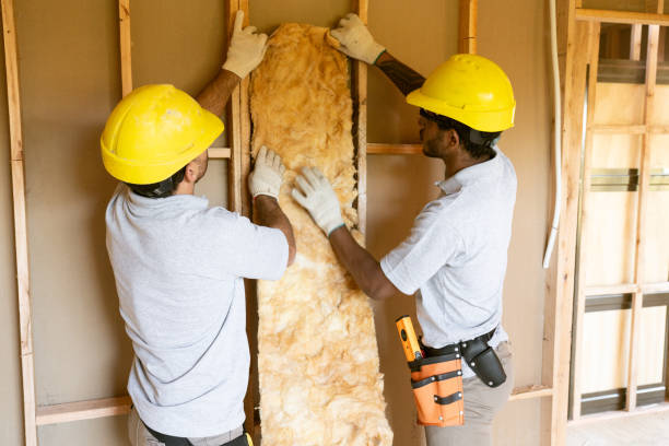 Professional Insulation in Paia, HI